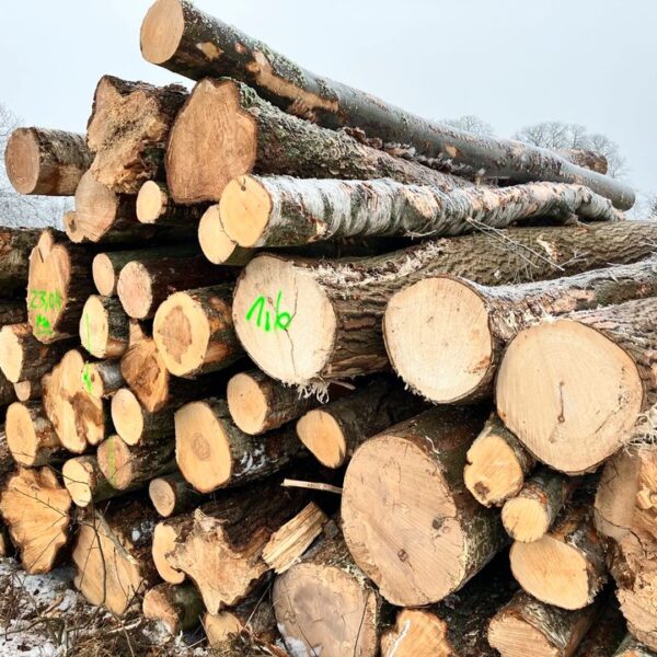 stammholz-waldkiefer-stammholz-pefc-600x600-1.jpg